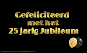 Äººç Jarig Jubileum 12 5 Jaar In Dienst
