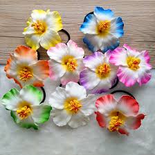Because we wish to encourage healthy and productive dialogue we ask that all comments remain polite, free of profanity or name calling, and relevant to the original post and. 10 Pcs Hula Girls Wedding Bride Foam Hawaiian Bridal Hair Clip 9cm You Pick Flower Jewelry Hair Rope Black Frangipani Flower Jewelry Clasp Jewelry Ring Storage Boxesjewelry Elephant Aliexpress