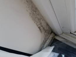 Find and repair all structural (especially roof or foundation) and plumbing leaks promptly. How To Prevent Condensation In Your Home Dengarden
