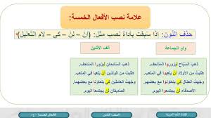 الصف الثامن اللغة العربية الأفعال الخمسة ج1 Youtube