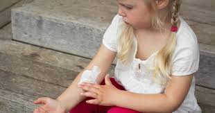 Image result for Berdazimer