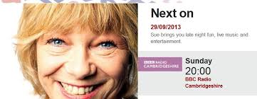 Folkstock Festival: Musical Notes