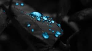 See more razer wallpaper, razer gaming background, razer snake wallpaper, razer blade wallpaper, razer satanic wallpaper, razer logo looking for the best razer wallpaper? Black And Blue Gaming Wallpapers On Wallpaperdog