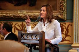 Michigan governor gretchen whitmer has become a target of coronavirus lockdown sceptics. Meet Gretchen Whitmer Gretchen Whitmer For Governor