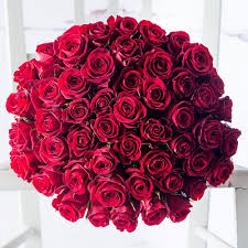 We did not find results for: Anniversary Flowers Wedding Anniversary Flowers Appleyard London