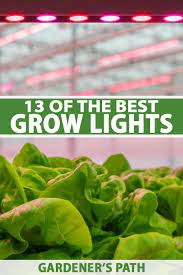 Maybe you would like to learn more about one of these? 13 Of The Best Grow Lights For Indoor Gardens Gardener S Path