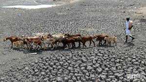 Image result for India drought: '330 million people affected'