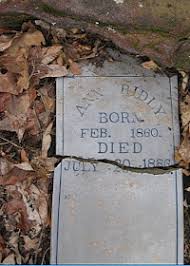 Hill Country HOGS Blog: March 2010