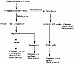 Cassava Meal Cargo Handbook The Worlds Largest Cargo