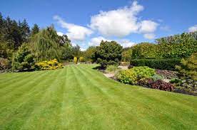 Planting trees and shrubs too deep is the no. Lawn And Shrubs A Pest Exterminator