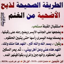 سامي الجندوبي طريقة الذبح الصحيحة سامي الجندوبي Facebook