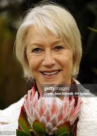 3,458 Fair Dame Stock Photos, High-Res Pictures, and Images