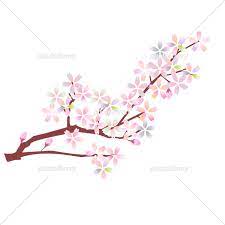 桜の枝 イラスト素材 [ 5890325 ] - フォトライブラリー photolibrary