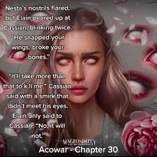 Elaine Visions Acotar