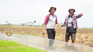 Unduh 98 gambar ilustrasi lingkungan sekolah terbaru gratis sumber dari : Menguatkan Gotong Royong Melalui Sekolah Lapang Pertanian Biointensif Koalisi Rakyat Untuk Kedaulatan Pangan