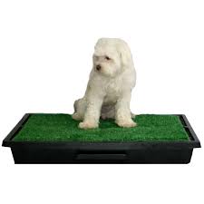 Ecopatio Sanitario Para Caes Com Grama Na Az Petshop Pet Shop Online