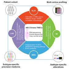 Breast cancer treatment triple negative. Genomic And Transcriptomic Landscape Of Triple Negative Breast Cancers Subtypes And Treatment Strategies Sciencedirect