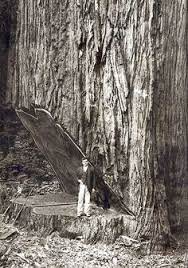 Mike Douglas Dotsmike - Profile Pinterest