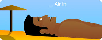 Maybe you would like to learn more about one of these? Aerobic Respiration In Animals S Cool The Revision Website