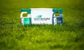 The best time to keep your lawn greener. Top 14 Best Lawn Care Service Companies In 2021