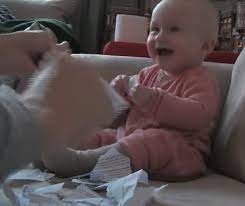 Baby Has Sweet Response To Dad Ripping Rejection Letter Inspiremore
