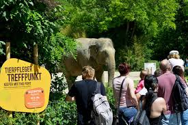 Mobile petting zoo pony wheel camel rides educational animal programs. Tierpark Hellabrunn Animal Shows And Daily Feedings