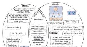 Pin On Life Science Lessons