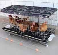 Cage à poulet élevage familial poule pondeuse galvanisée ...
