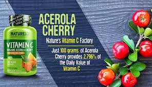 Read more about each one here and shop our favorites. Top 10 Best Vitamin C Powder In 2021 Reviews Buying Guide