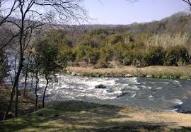 Oori Private Game Reserve | Gauteng