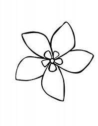 jasmine flower comment dessiner une fleur dessin de simple coloriage camion vacances