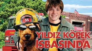 Kopek Sevenler Icin Netflix Ten En Iyi Kopek Dizi Ve Filmleri Ntv