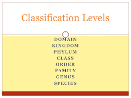 Domain Kingdom Phylum Class Order Family Genus Species Classification Levels Ppt Download