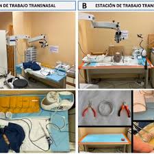PDF) Microneurosurgical training in the anatomical specimen: A structured  plan for endoscopic and microsurgical skull base training during the  residency