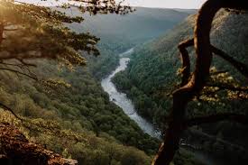 Maybe you would like to learn more about one of these? Biden S Road To Clean Energy Runs Through West Virginia S Manchin Capito Bloomberg