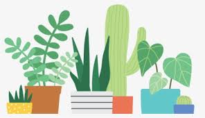 We did not find results for: Drawing Cactus Aesthetic Transparent Png Clipart Free Aesthetic Cactus Black And White Png Download Kindpng