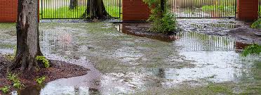 Luckily, you can do a few things to block the water and stop your backyard from flooding. How To Install French Drains Town Hardware General Store