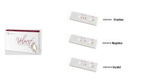 Rapid Pregnancy Test Cassette Apollo Pregnancy Symptoms