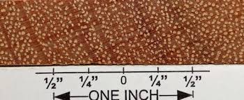 Image result for Afzelia