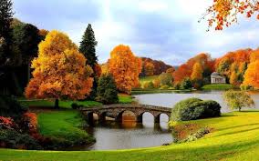 Tangan dicat hijau muda musim semi di latar belakang gambar rangka bunga baru. Gambar Pemandangan Indah Jembatan Musim Gugur Pemandangan Tempat Yang Indah Gambar