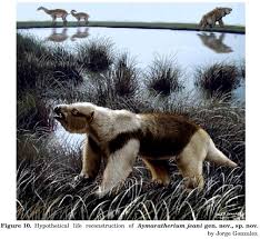 Image result for Antrocaryon nannanii