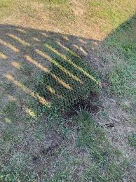 Image result for site:byggahus.se Harestad