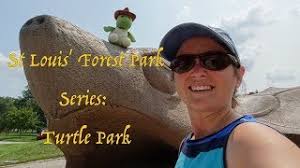 Turtle Playground in Saint Louis