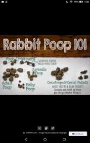 Jul 11, 2021 · dumor alfalfa timothy pellets, 50 lb. Help No More Greens Or Alfalfa Pellets Rabbits Online Pet Rabbit Bunny Forum