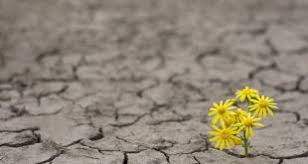 تحتوي هذه الصفحة على تقويم وطني لجميع العطلات الرسمية لعام 2021 في مصر. ØµÙˆØ±Ø³ÙƒØ³ Ø§ØªÙØ§Ù„ 2021 Ø´Ø±ÙƒØ© Ø£ØªÙØ£Ù„ Ù„Ù„Ù…Ù‚Ø§ÙˆÙ„Ø§Øª Home Facebook Õ¥Õ¯Õ¥Õ²Õ¥ÖÕ¡Õ¯Õ¡Õ¶ Õ¿Õ¸Õ¶Õ¡ÖÕ¸Ö‚ÕµÖÕ¨ Õ°Õ¡Õµ Õ¡Õ¼Õ¡Ö„Õ¥Õ¬Õ¡Õ¯Õ¡Õ¶ Õ½Õ¸Ö‚Ö€Õ¢ Õ¥Õ¯Õ¥Õ²Õ¥ÖÕ¸Ö‚ Õ°Õ¡Õ¾Õ¡Õ¿Õ¡ÖÕµÕ¡Õ¬Õ¶Õ¥Ö€Õ« Õ°Õ¸Õ£Ö‡Õ¸Ö€ Õ¯ÕµÕ¡Õ¶Ö„Õ« Õ¯Õ¡Ö€Ö‡Õ¸Ö€ Õ¸Ö‚Õ²Õ¥ÖÕ¸Ö‚ÕµÖÕ¶ Õ§