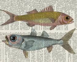 Pin By Moon Folk On Animals Fish Artwork Fish Art Fish Illustration