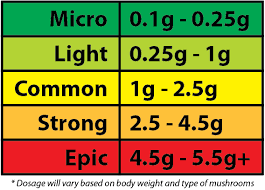 magic mushroom guide zide door