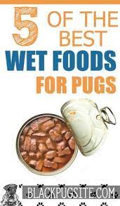 Best wet food for pug puppy. 47 Pug Accessories Ideas Pug Accessories Pug Clothes Pug Toy