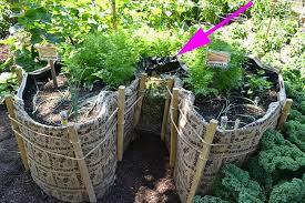 Pin On What Do You Love About Buffalo Ny