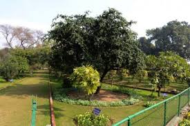 Raipur serves as its capital. Herbal Garden Rashtrapati Bhavan